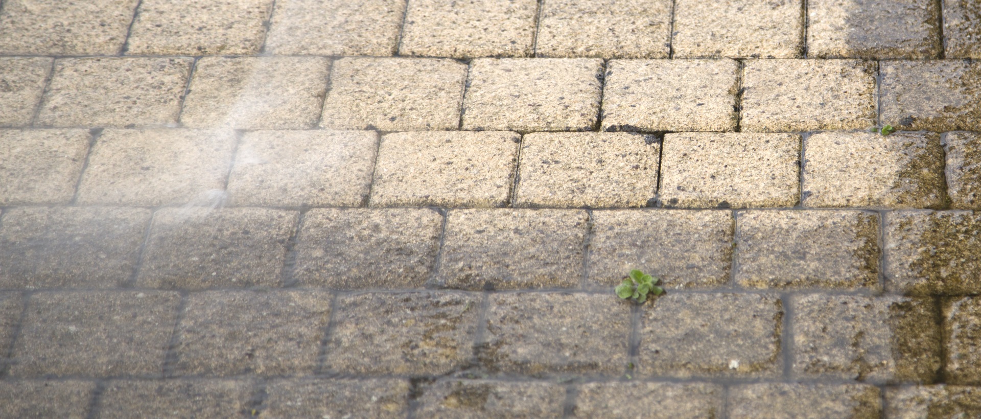 flagging and patios CR4